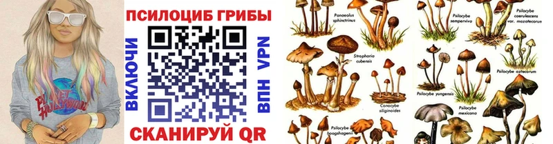 Псилоцибиновые грибы прущие грибы дарк нет состав Болохово дарнет шоп МЕГА онион