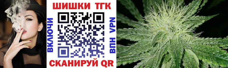 Бошки Шишки планчик Болохово